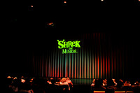 Shrek the Musical, Tidewater Players, July 2015