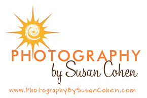 Photography by Susan Cohen